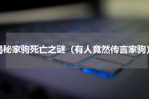 揭秘家驹死亡之谜（有人竟然传言家驹）