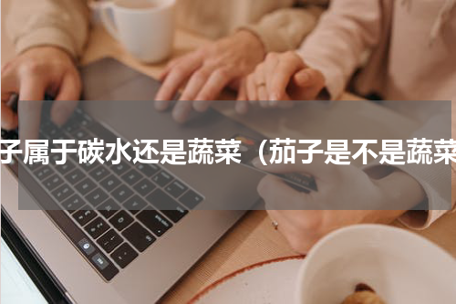 茄子属于碳水还是蔬菜（茄子是不是蔬菜）
