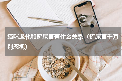 猫咪退化和铲屎官有什么关系（铲屎官千万别忽视）