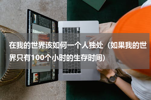 在我的世界该如何一个人独处（如果我的世界只有100个小时的生存时间）