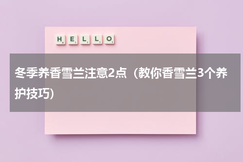 冬季养香雪兰注意2点（教你香雪兰3个养护技巧）