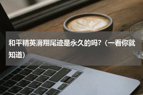 和平精英滑翔尾迹是永久的吗?（一看你就知道）