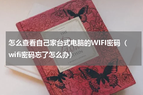 怎么查看自己家台式电脑的WIFI密码（wifi密码忘了怎么办）