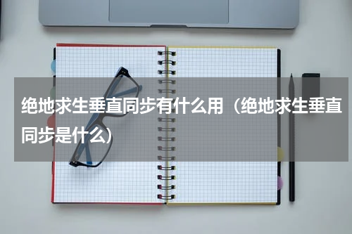 绝地求生垂直同步有什么用（绝地求生垂直同步是什么）