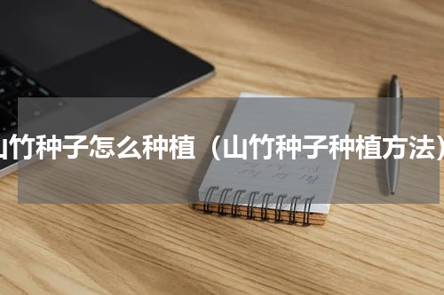 山竹种子怎么种植（山竹种子种植方法）