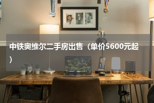 中铁奥维尔二手房出售（单价5600元起）
