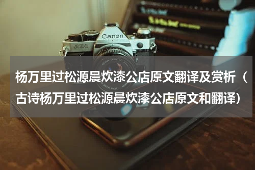杨万里过松源晨炊漆公店原文翻译及赏析（古诗杨万里过松源晨炊漆公店原文和翻译）