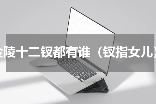 金陵十二钗都有谁（钗指女儿）