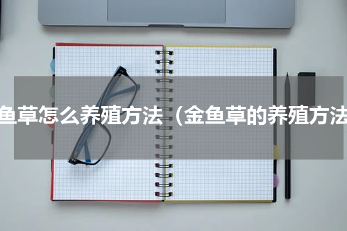 金鱼草怎么养殖方法（金鱼草的养殖方法）