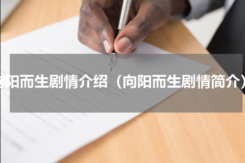 向阳而生剧情介绍（向阳而生剧情简介）