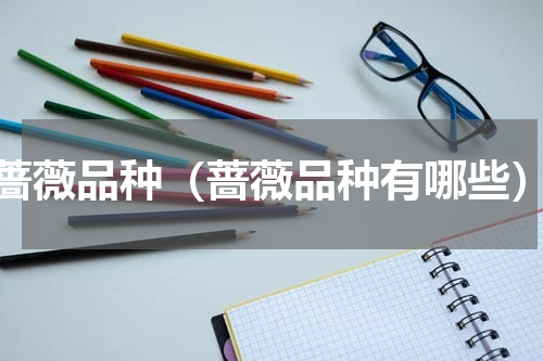 蔷薇品种（蔷薇品种有哪些）