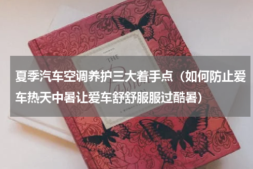 夏季汽车空调养护三大着手点（如何防止爱车热天中暑让爱车舒舒服服过酷暑）