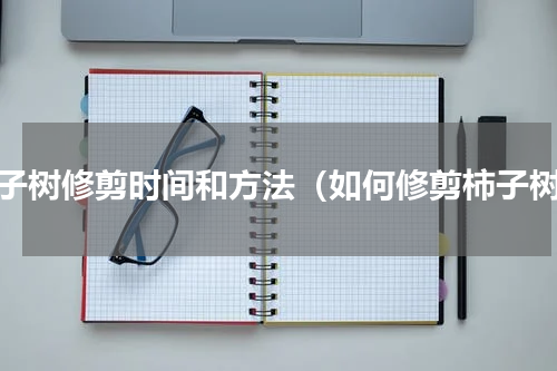 柿子树修剪时间和方法（如何修剪柿子树）