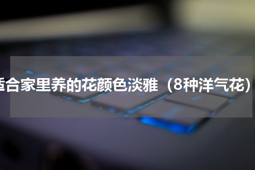 适合家里养的花颜色淡雅（8种洋气花）