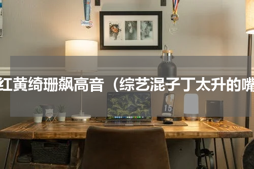 韩红黄绮珊飙高音（综艺混子丁太升的嘴）