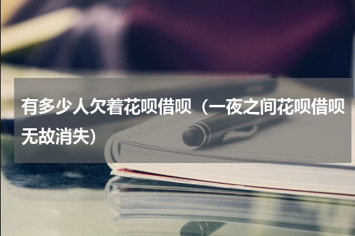 有多少人欠着花呗借呗（一夜之间花呗借呗无故消失）