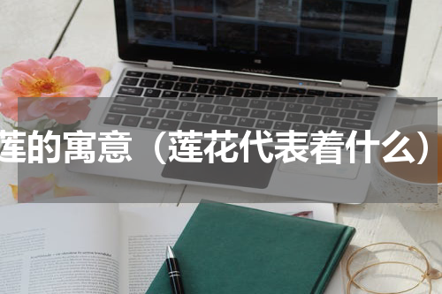 莲的寓意（莲花代表着什么）