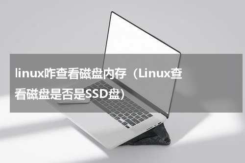 linux咋查看磁盘内存（Linux查看磁盘是否是SSD盘）