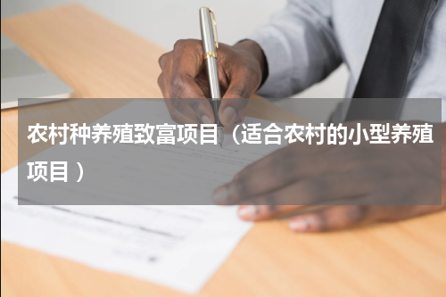 农村种养殖致富项目（适合农村的小型养殖项目 ）