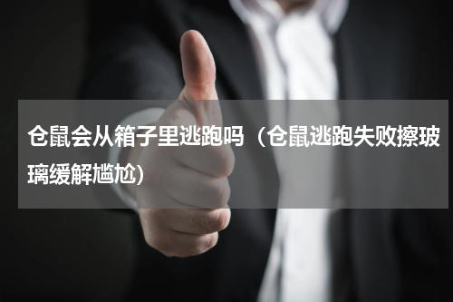 仓鼠会从箱子里逃跑吗（仓鼠逃跑失败擦玻璃缓解尴尬）