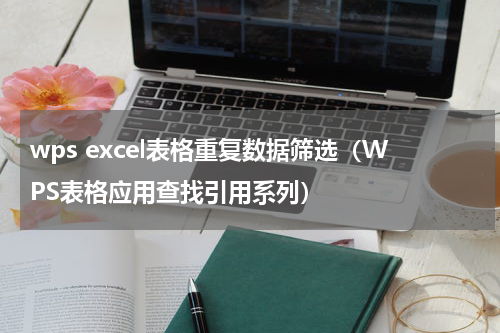 wps excel表格重复数据筛选（WPS表格应用查找引用系列）