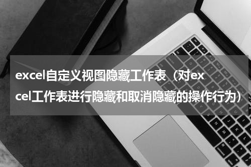 excel自定义视图隐藏工作表（对excel工作表进行隐藏和取消隐藏的操作行为）