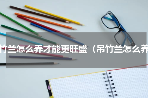 吊竹兰怎么养才能更旺盛（吊竹兰怎么养）