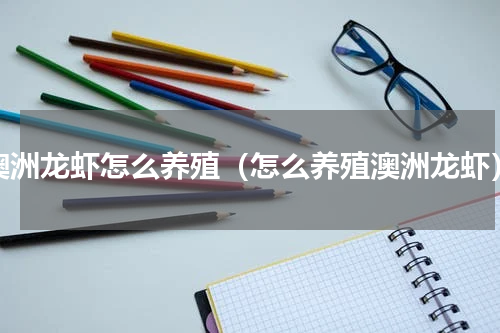澳洲龙虾怎么养殖（怎么养殖澳洲龙虾）