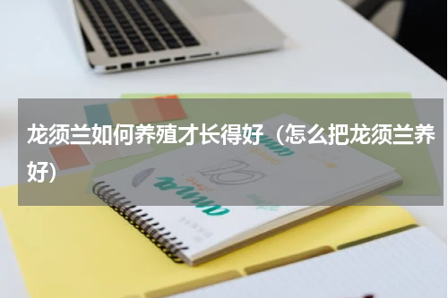 龙须兰如何养殖才长得好（怎么把龙须兰养好）
