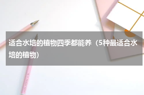 适合水培的植物四季都能养（5种最适合水培的植物）