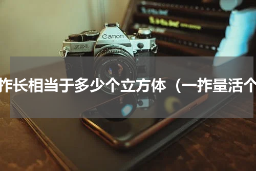 一拃长相当于多少个立方体（一拃量活个）