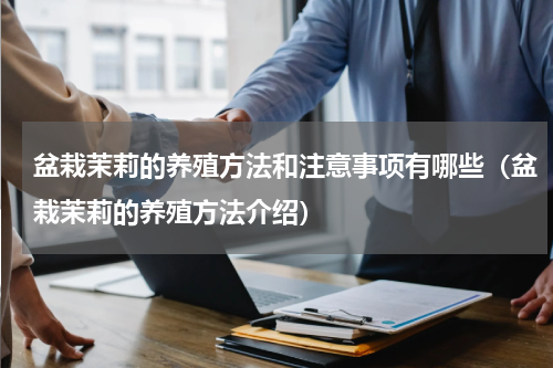 盆栽茉莉的养殖方法和注意事项有哪些（盆栽茉莉的养殖方法介绍）