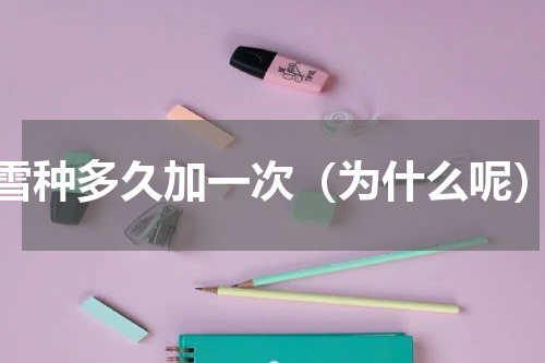 雪种多久加一次（为什么呢）