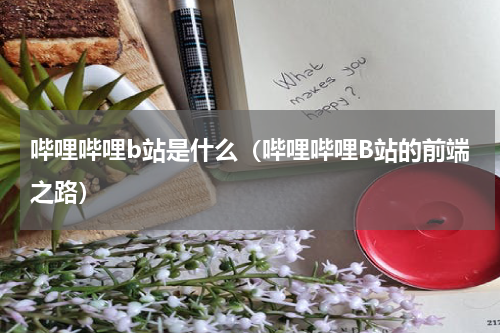 哔哩哔哩b站是什么（哔哩哔哩B站的前端之路）