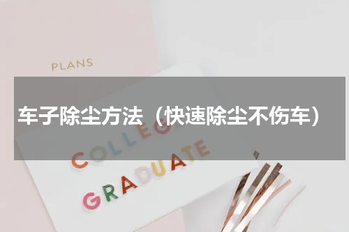 车子除尘方法（快速除尘不伤车）