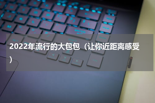 2022年流行的大包包（让你近距离感受）