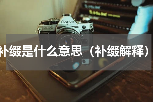 补缀是什么意思（补缀解释）