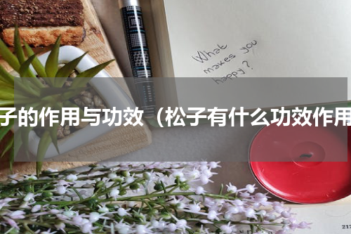 松子的作用与功效（松子有什么功效作用）