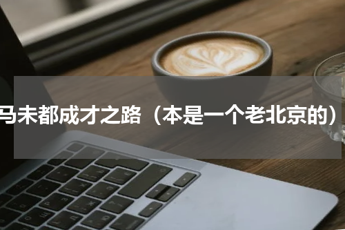 马未都成才之路（本是一个老北京的）