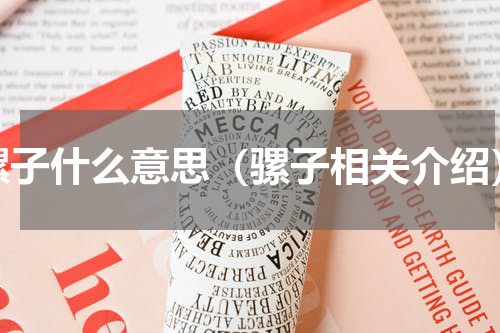 骡子什么意思（骡子相关介绍）