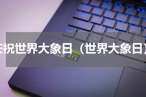 庆祝世界大象日（世界大象日）