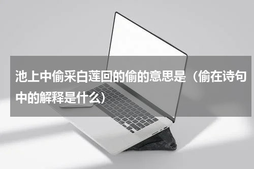池上中偷采白莲回的偷的意思是（偷在诗句中的解释是什么）