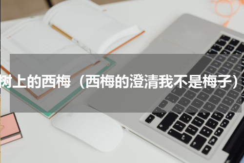 树上的西梅（西梅的澄清我不是梅子）