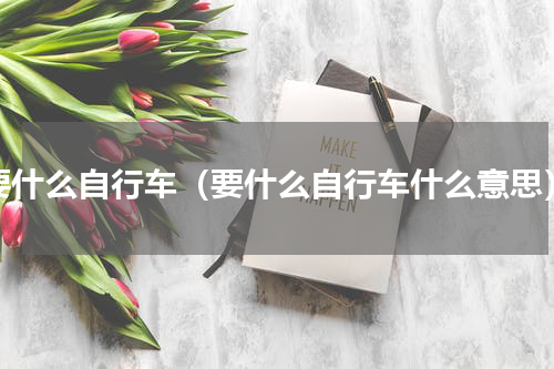 要什么自行车（要什么自行车什么意思）