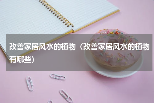 改善家居风水的植物（改善家居风水的植物有哪些）