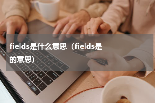fields是什么意思（fields是的意思）