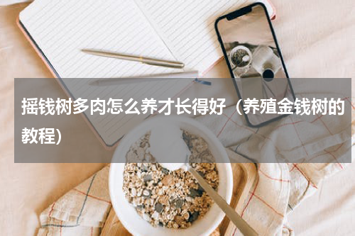 摇钱树多肉怎么养才长得好（养殖金钱树的教程）