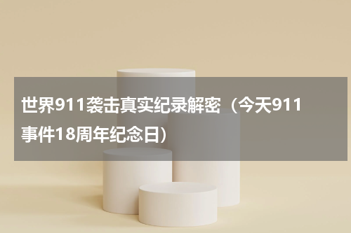 世界911袭击真实纪录解密（今天911事件18周年纪念日）