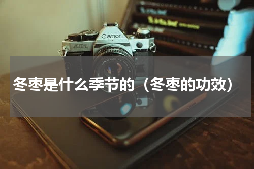 冬枣是什么季节的（冬枣的功效）