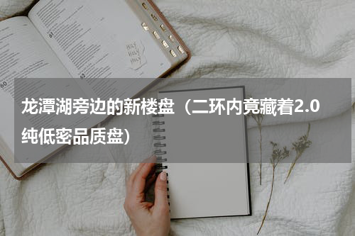 龙潭湖旁边的新楼盘（二环内竟藏着2.0纯低密品质盘）